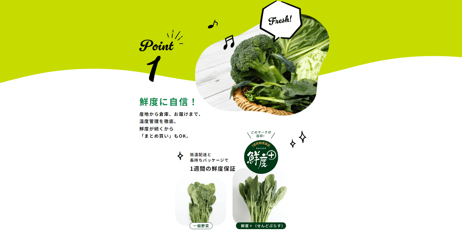 Green Beansの画像